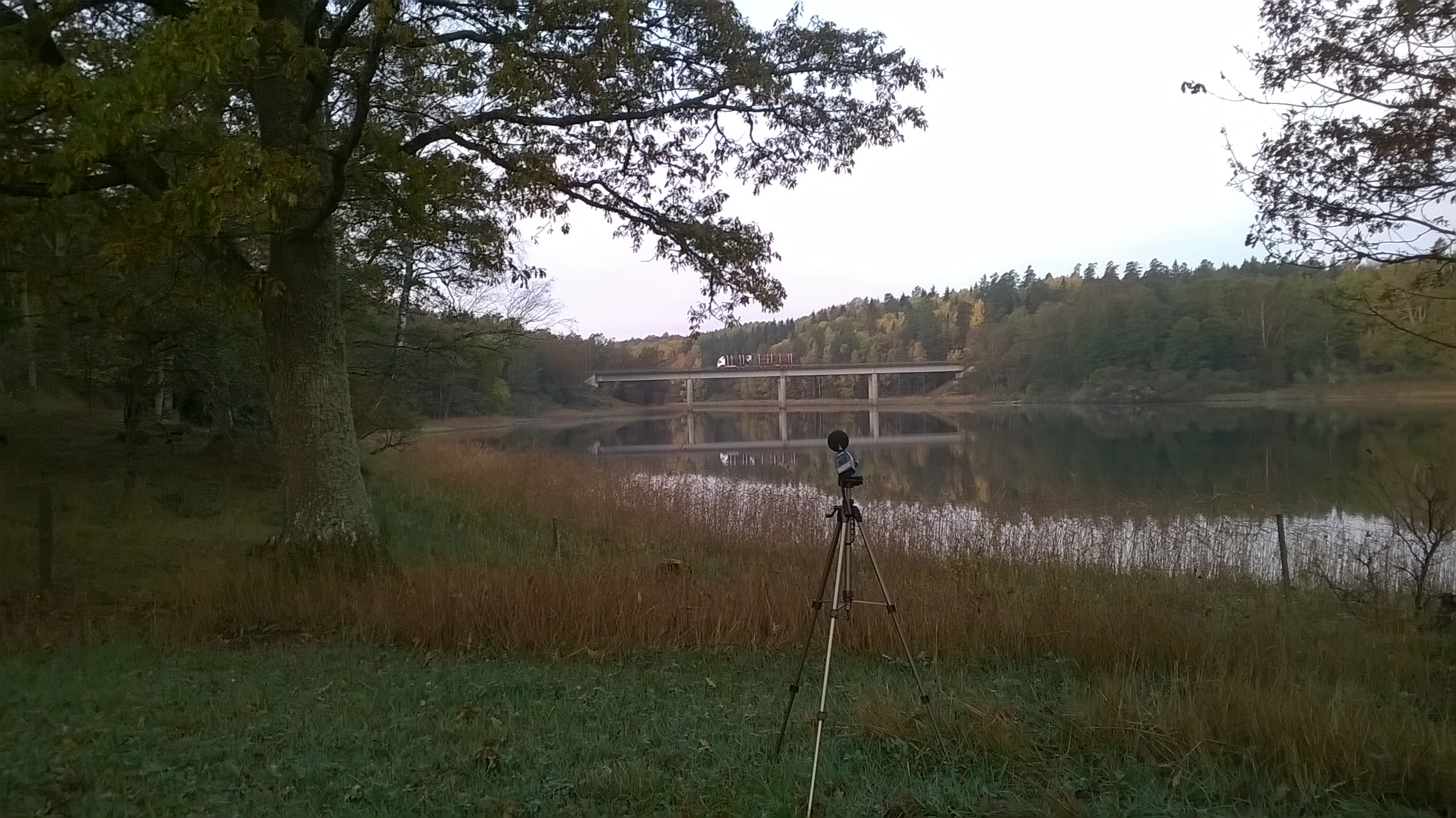 WP_20141013_07_59_07_Pro